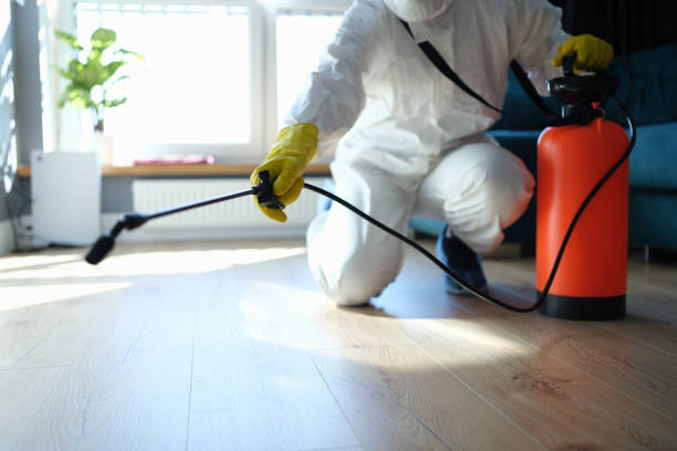 Reliable Odor Removal contractor in Sunnyvale, TX by Trauma Clean Pros